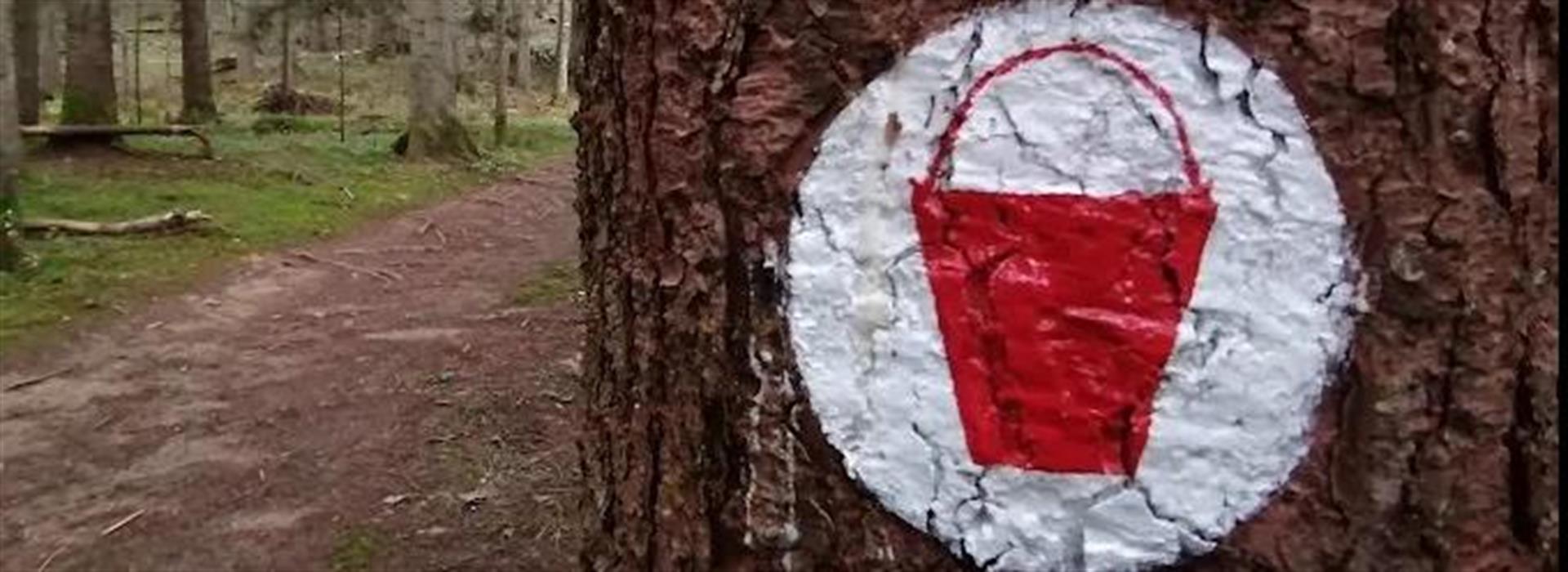 Arheološki park Cvinger