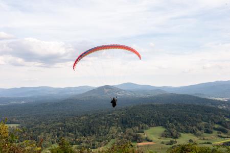 Foto: Alenka Peterlin